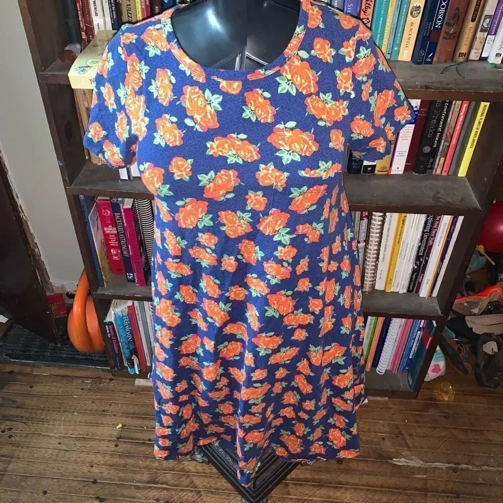 Lularoe Carly high low knit travelcore rose normcore cozy dress